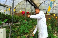 العتبة الحسينية تمتلك افضل مشتل في العراق لإنتاج الزهور - يوميات مشروع الحلقة 10